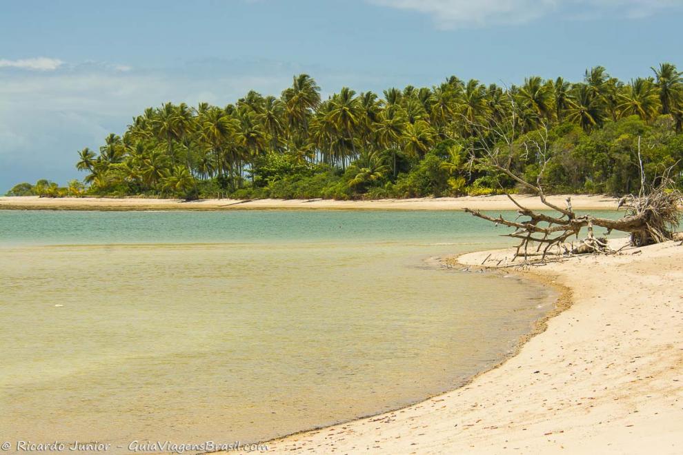 Imagem do mar calmo e cristalino da Praia Ponta dos Castelhanos.